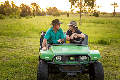 Plunkett Green at Tamborine