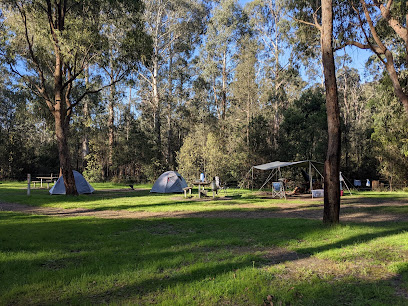 Cassinia Camp