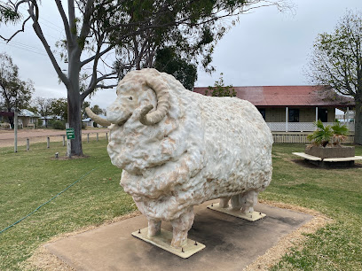 Barcoo River Camping Area Blackall