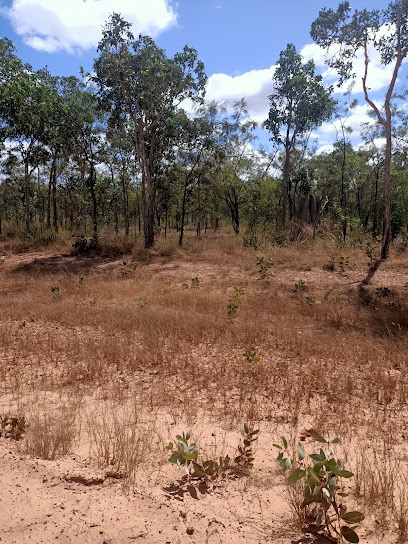 Coen Creek Free Camp Area