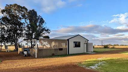 Bush camp