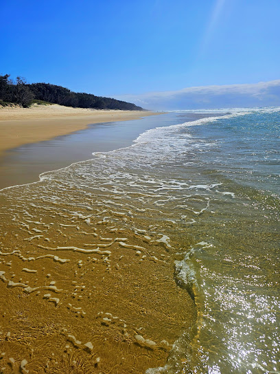 Minjerribah Camping - Campground Track M2