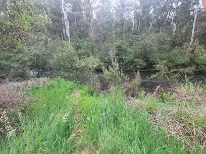 Big Bend Creek Camping Ground