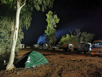 Mogas Curtin Springs