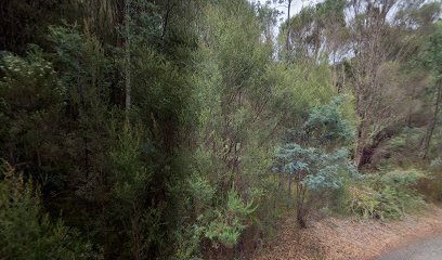 Linda Creek Campsite