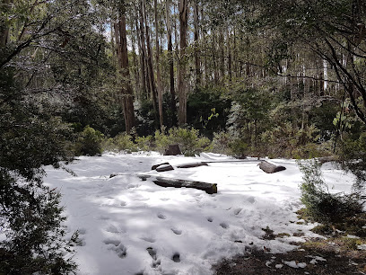 Stronachs Camping Area