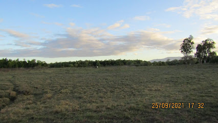 Ben Lomond Station (Site 4)