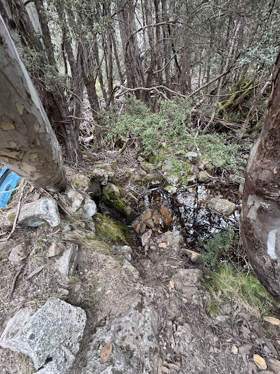 Camp Creek