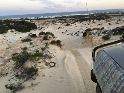 Wattle Camp