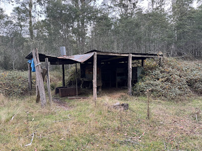 Pikes Flat Camping Area