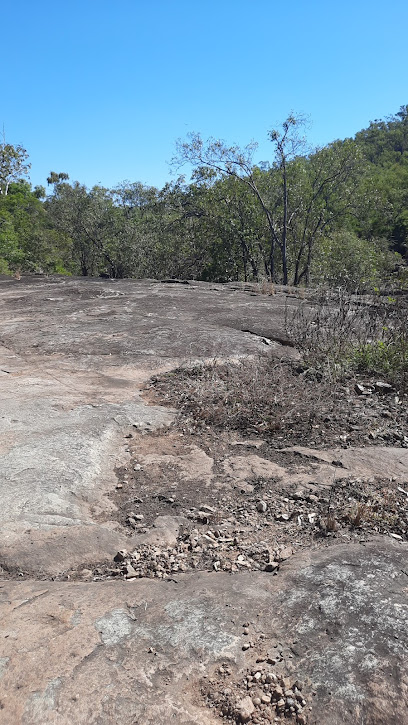 Cockatoo Creek camping area
