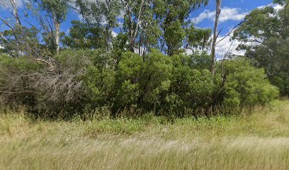 Lees camping reserve