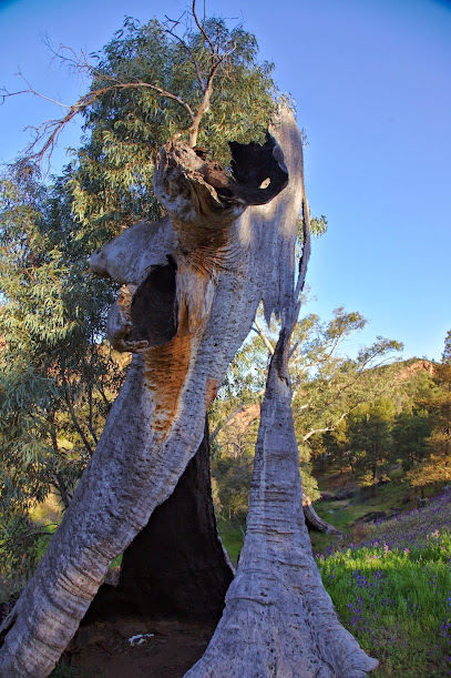 Warren Gorge