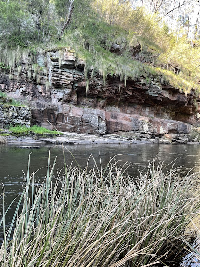 Barkly river camp site