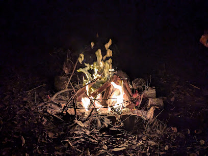 Casuarina Camping Area