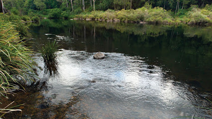 Ballow Creek Junction Camp Ground