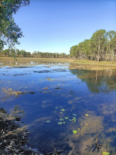 Camooweal billabong